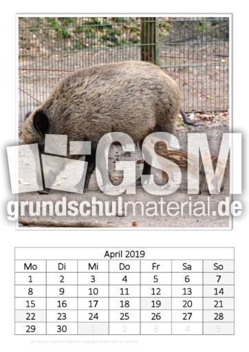 April_Frischling.pdf